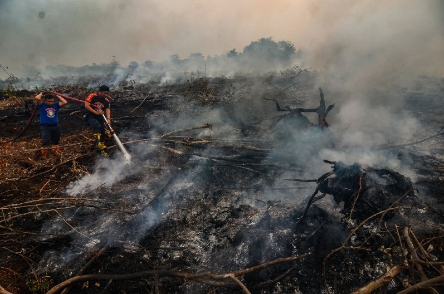 Photo Credit ©Wahyudi