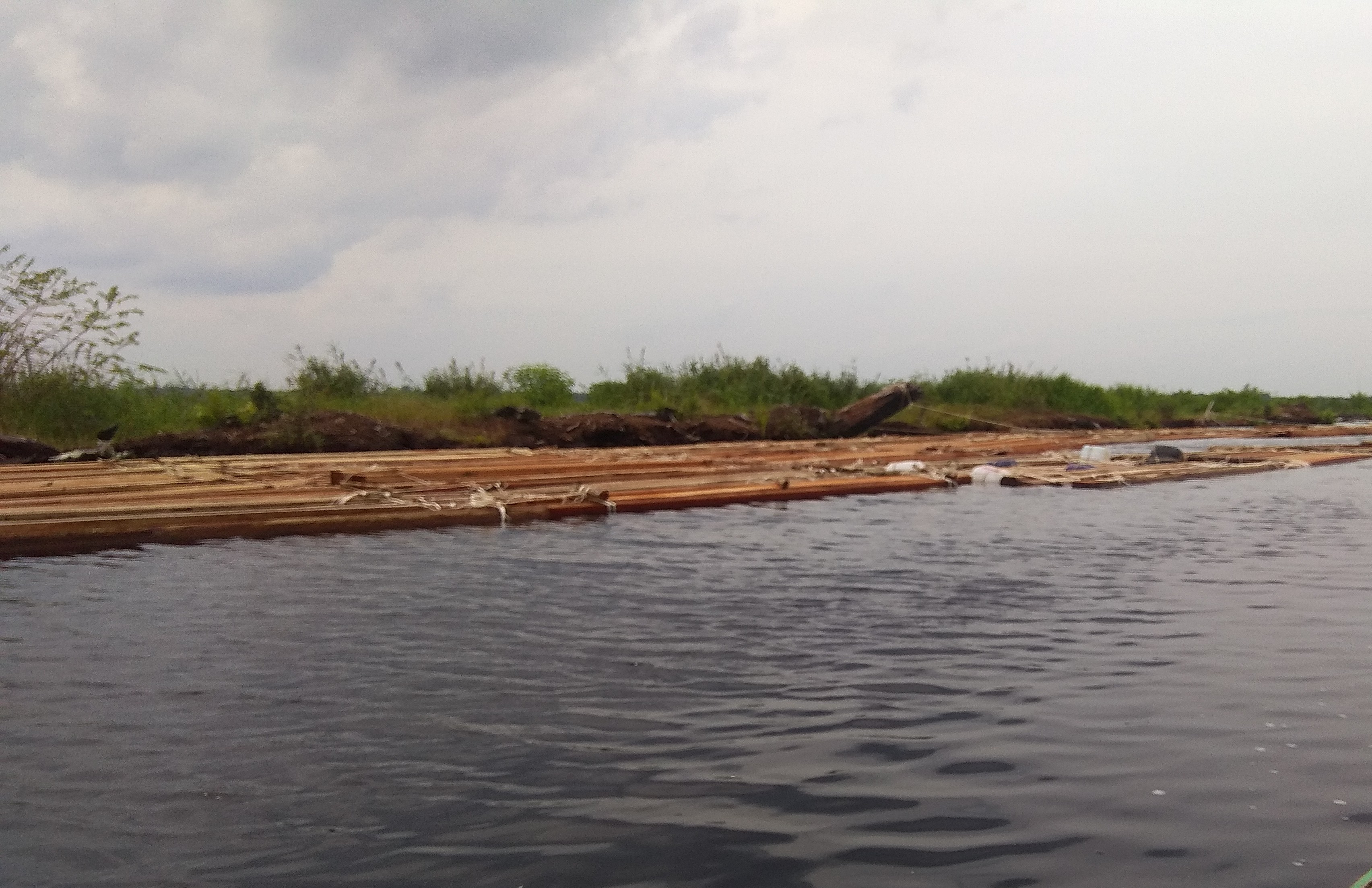 https://pantaugambut-dev.catalyze.id//storage/medias/175/Kayu_hasil_illegal_logging_di_PT_Pesona_Belantara_Persada._Kayu_ini_dikeluarkan_dari_hutan_melalui_kanal_perusahaan_selanjutkan_dialirkan_ke_Sungai_Kumpeh_1_.jpg
