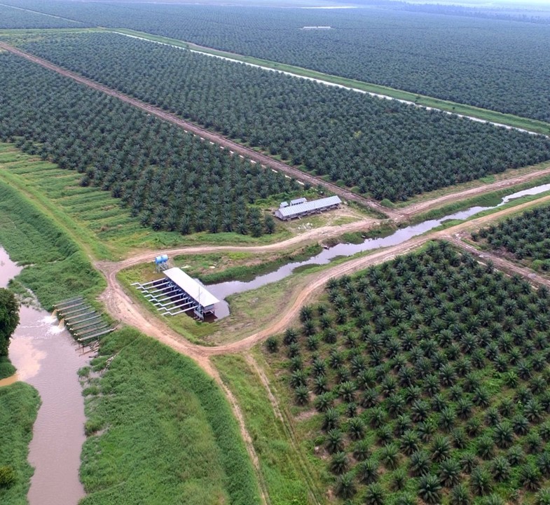 Sistem pengelolaan air yang ada di PT EWF ©WALHI Jambi