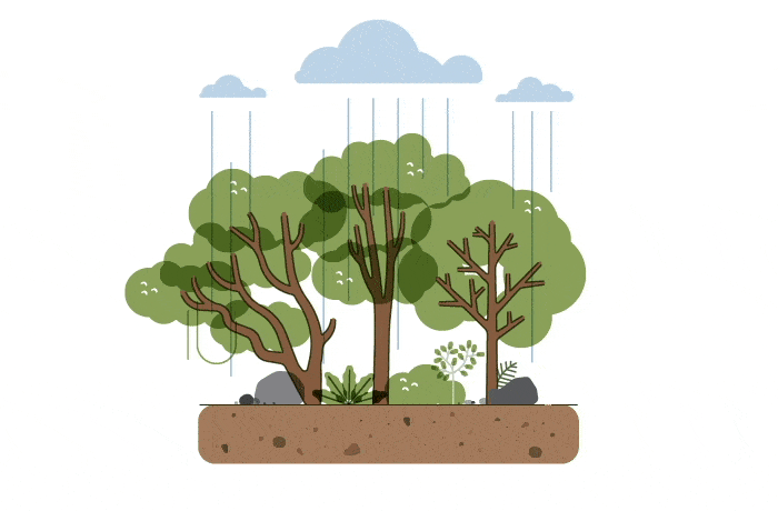 Daya serap air rendah