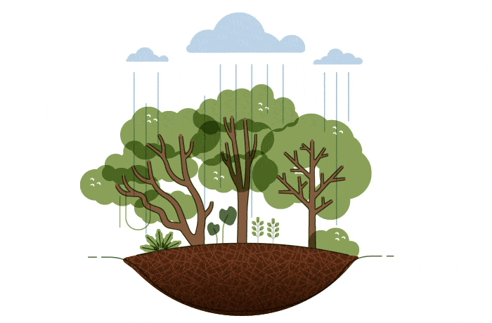 Daya serap air tinggi