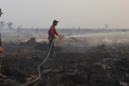 Satgas karhutla berupaya memadamkan api di lahan gambut konsesi PT ATGA yang terbakar pada 2019 ©KKI-Warsi