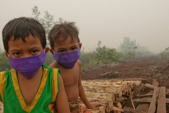 Terlepas dari faktor penyebab terjadinya karhutla, terutama di lahan gambut, masyarakat adalah pihak yang terdampak langsung. © Aulia Erlangga/CIFOR