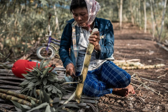 Pengelolaan hutan dengan mengedepankan ekosistem dan kearifan lokal dapat meningkatkan pendapatan masyarakat. © Danar Tri Atmojo