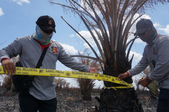 Penyelidikan kasus kebakaran hutan ©Donny Muslim