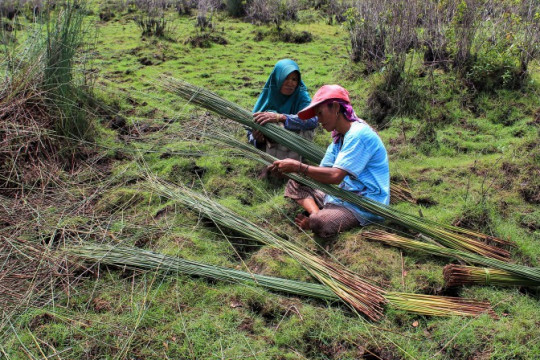 Usai memanen purun, Siti Juleha (45) dan Rasiah (55) beristirahat sembari membersihkan purun yang mereka panen di ladang wilayah Bararawa. © Raras Cahyafitri