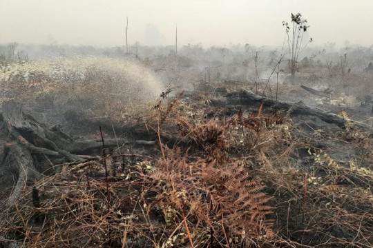 Pemadaman api oleh Petugas Damkar di Kabupaten Tanjung Jabung Timur pada Karhutla 2019 ©Feri Irawan