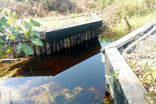 Salah satu kondisi sekat kanal yang sudah tidak berfungsi lagi di Kecamatan Tebing Tinggi Barat, Kepulauan Meranti, Provinsi Riau ©Pantau Gambut/Istimewa