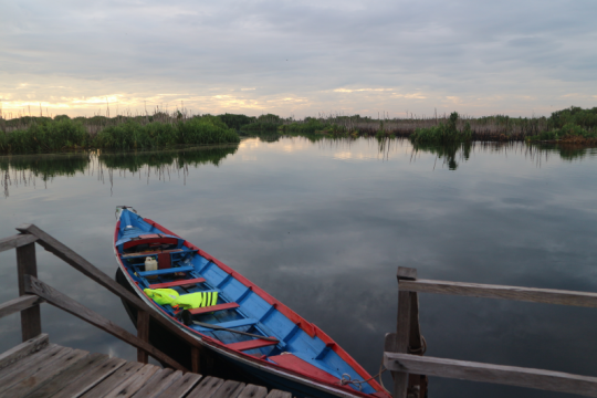 Kredit Foto © Pantau Gambut