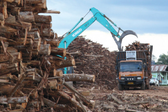 ©Ulet Ifansasti/Greenpeace