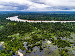 Lahan gambut ©CIFOR