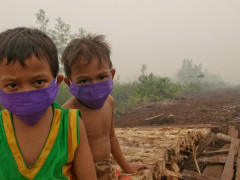 Terlepas dari faktor penyebab terjadinya karhutla, terutama di lahan gambut, masyarakat adalah pihak yang terdampak langsung. © Aulia Erlangga/CIFOR