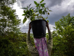 Intervensi bagi permasalahan pangan sebaiknya tidak dilakukan dengan cara-cara yang memiliki risiko lingkungan, ekonomi, dan kesehatan. Foto oleh Kemal Jufri untuk WRI Indonesia