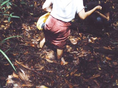 Sifat lahan gambut yang lembek membuat kita kesulitan berjalan di atasnya. © Danar Triatmojo