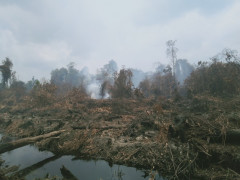 Kondisi lahan konsesi PT MAS di Desa Sipin Teluk Duren, Kumpeh, Kabupaten Muaro Jambi ©Anto