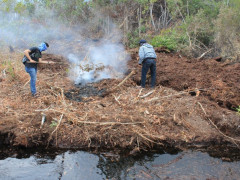 Penulis sedang berupaya memadamkan gambut yang terbakar api di Desa Teluk Makmur, Riau, di awal 2019. ©Pantau Gambut