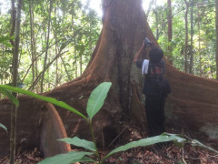 Hutan Gambut di Desa Lukun Kepulauan Meranti, Riau, April 2019. Dokumentasi: Zamzami