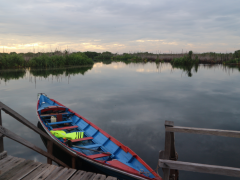 Kredit Foto © Pantau Gambut