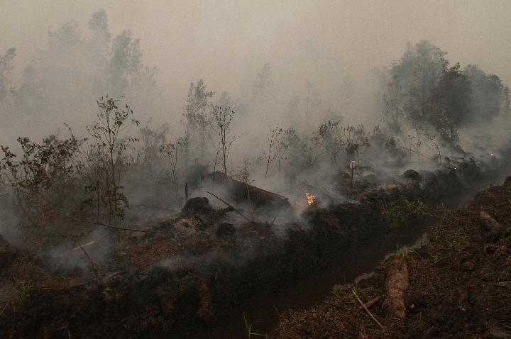 Gambut Terusik, Masyarakat Ikut Terisak. Foto: CIFOR