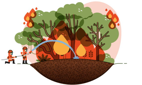 Kebakaran hutan & lahan gambut