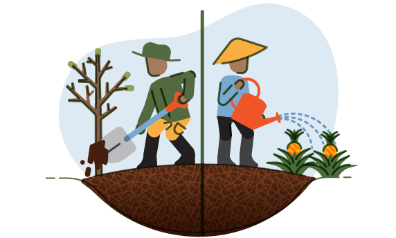 Tata kelola gambut Indonesia