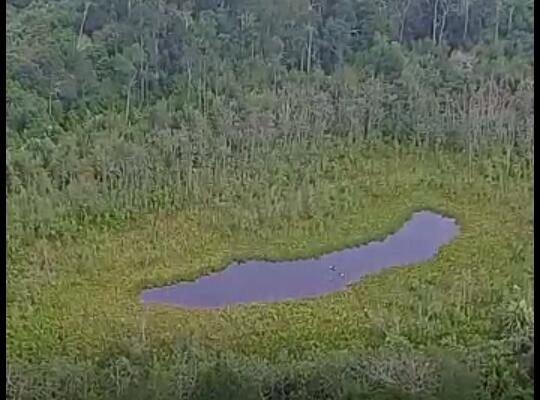  Tasik Ulu Mahmud dari tangkapan layar video Rumvio Studio