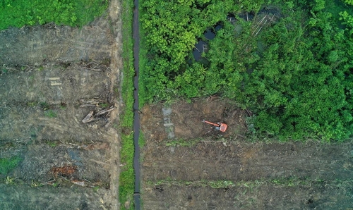 Alih fungsi lahan gambut sebabkan degradasi gambut ©Ardiles Rante - HKV/Pantau Gambut