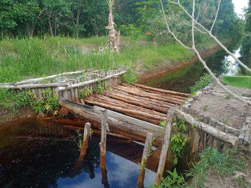 Sekat kanal ©Pantau Gambut