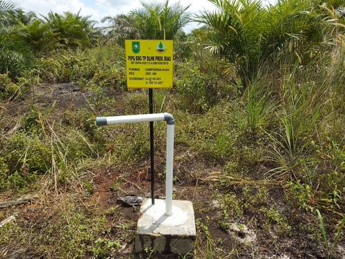 Sumur bor ©Pantau Gambut